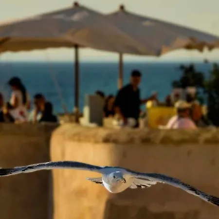 Bonavoglia 900 Bed & Breakfast 3*