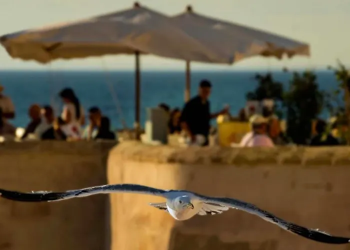 Bonavoglia 900 Отель типа 