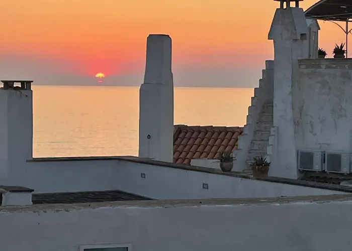 Bonavoglia 900 Gallipoli